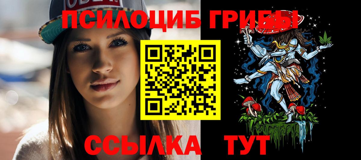 Шатура  где купить наркоту  Вход с VPN  Псилоцибиновые грибы Psilocybe 