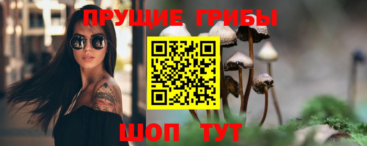 Галлюциногенные грибы Psilocybine cubensis Шатура